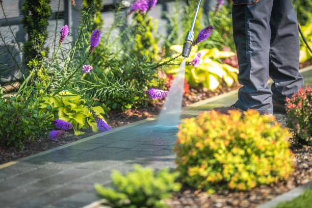 Best Fence Cleaning  in Burt, MI