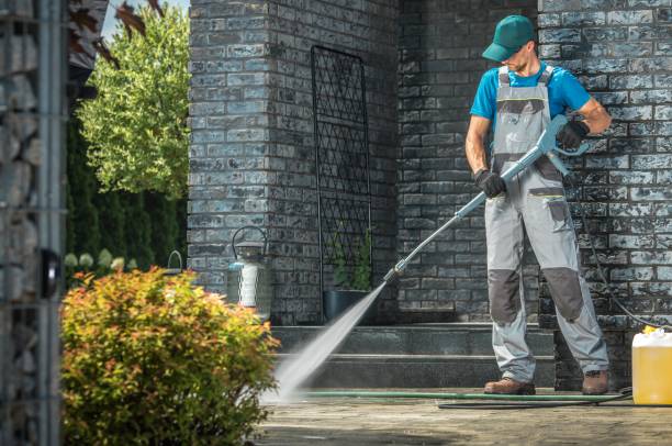 Best Soft Washing  in Burt, MI