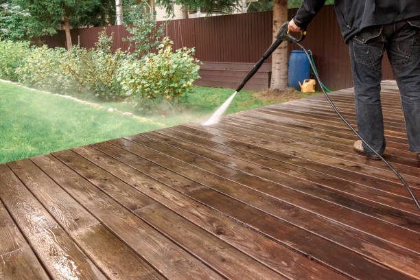 Best Pre-Holiday Cleaning  in Burt, MI