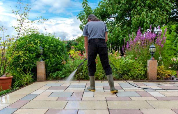 Best Sidewalk and Walkway Cleaning  in Burt, MI