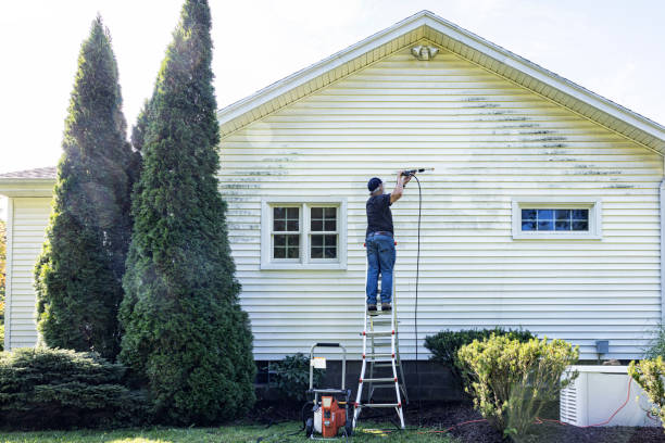 Best Driveway Pressure Washing  in Burt, MI